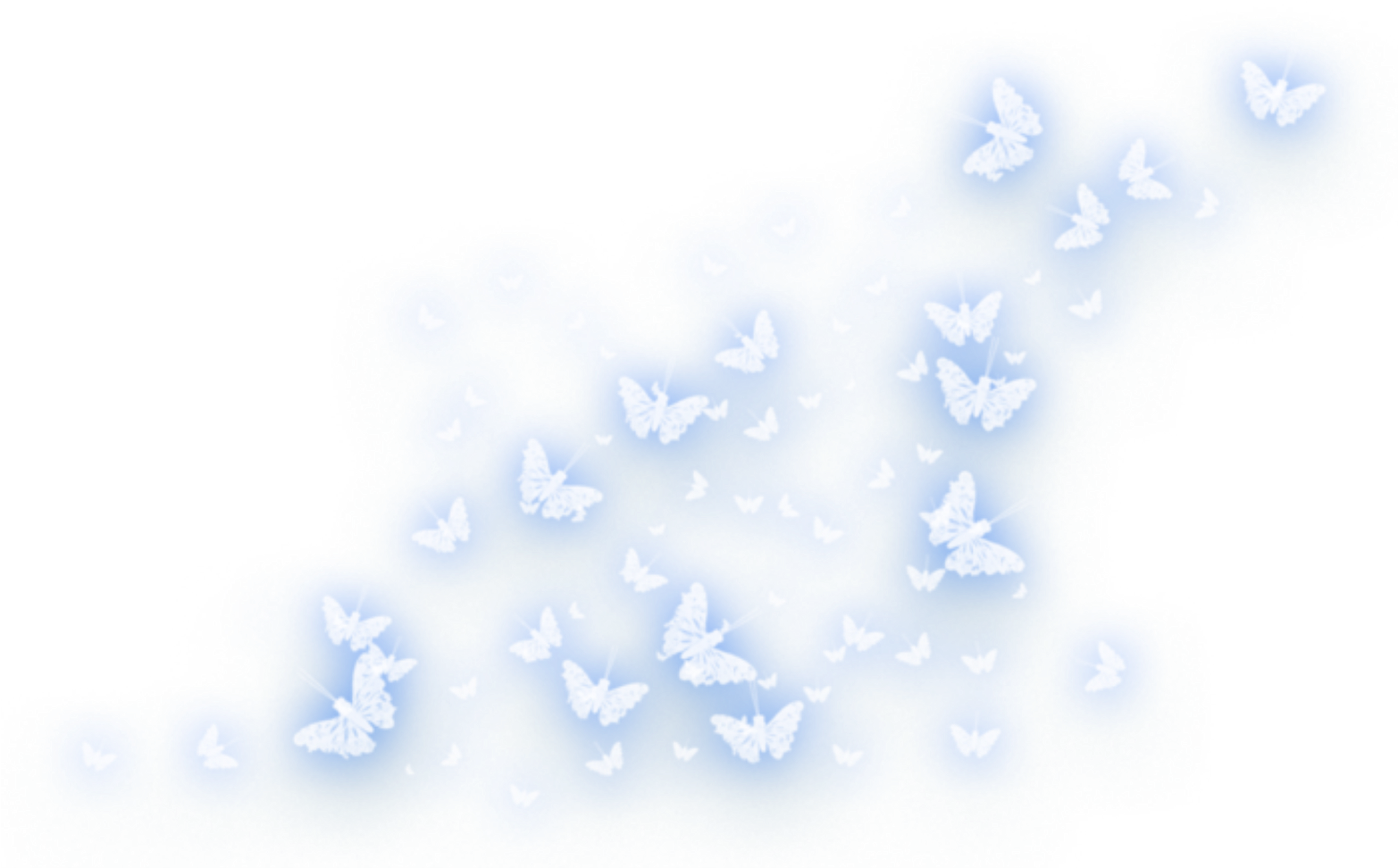 Report Abuse - Butterfly (1564x1024), Png Download