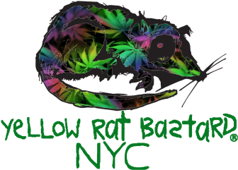 T-shirt (350x350), Png Download