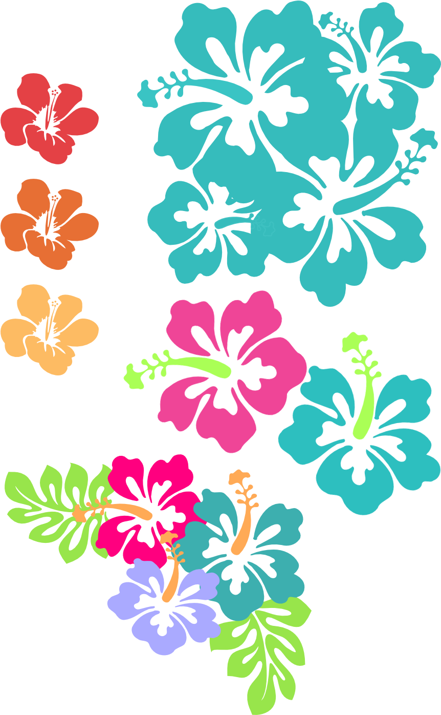 Hibiscus Clipart Teal - Hibiscus Clip Art (974x1442), Png Download