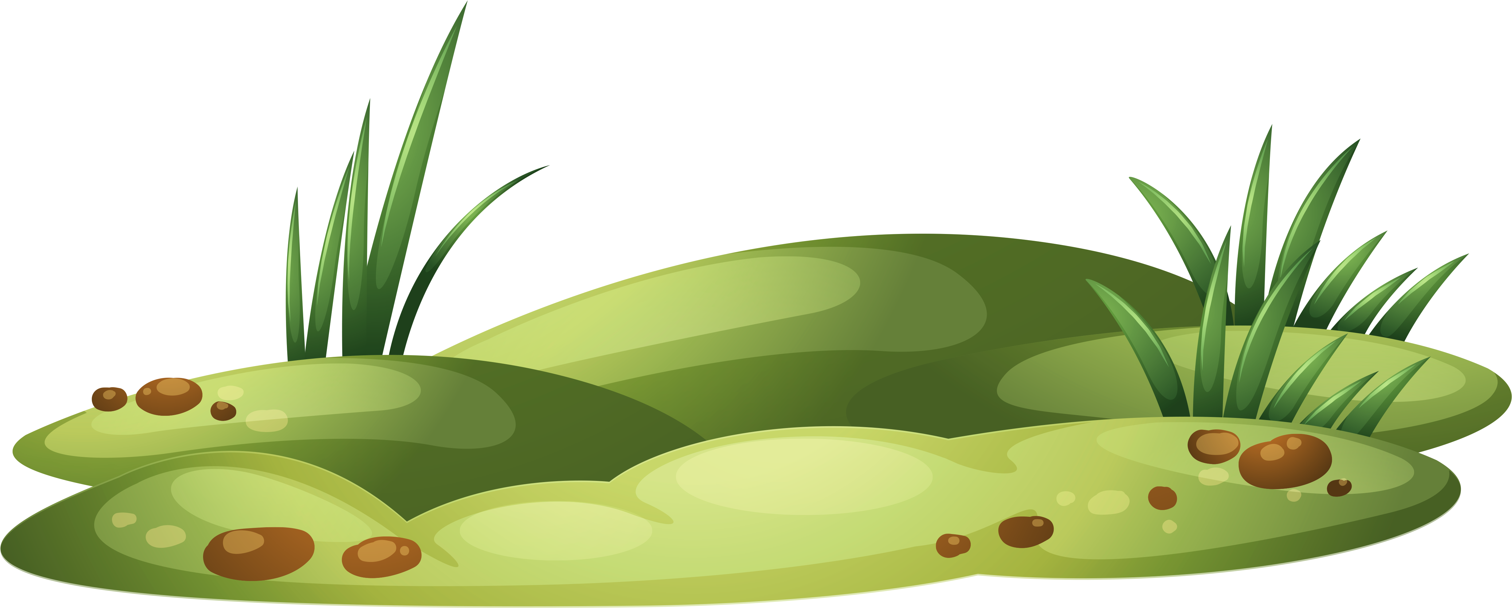 Lawn Clipart Tropical Grass - Grass Patch Clipart (5429x2371), Png Download