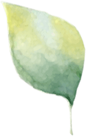 Papillon Fairy Clip, - Watercolor Paint (277x436), Png Download