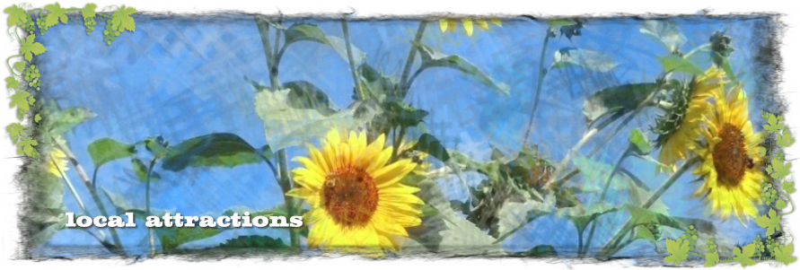 Stoney Ridge Farm & Winery (900x300), Png Download