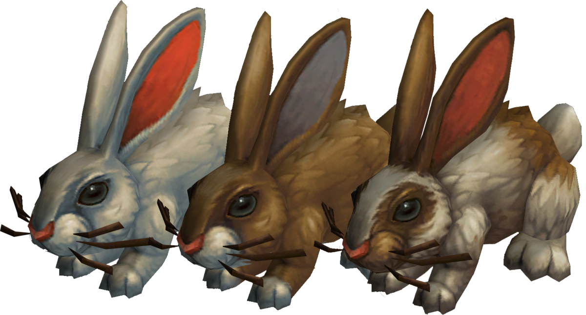 Domestic Rabbit (1200x646), Png Download