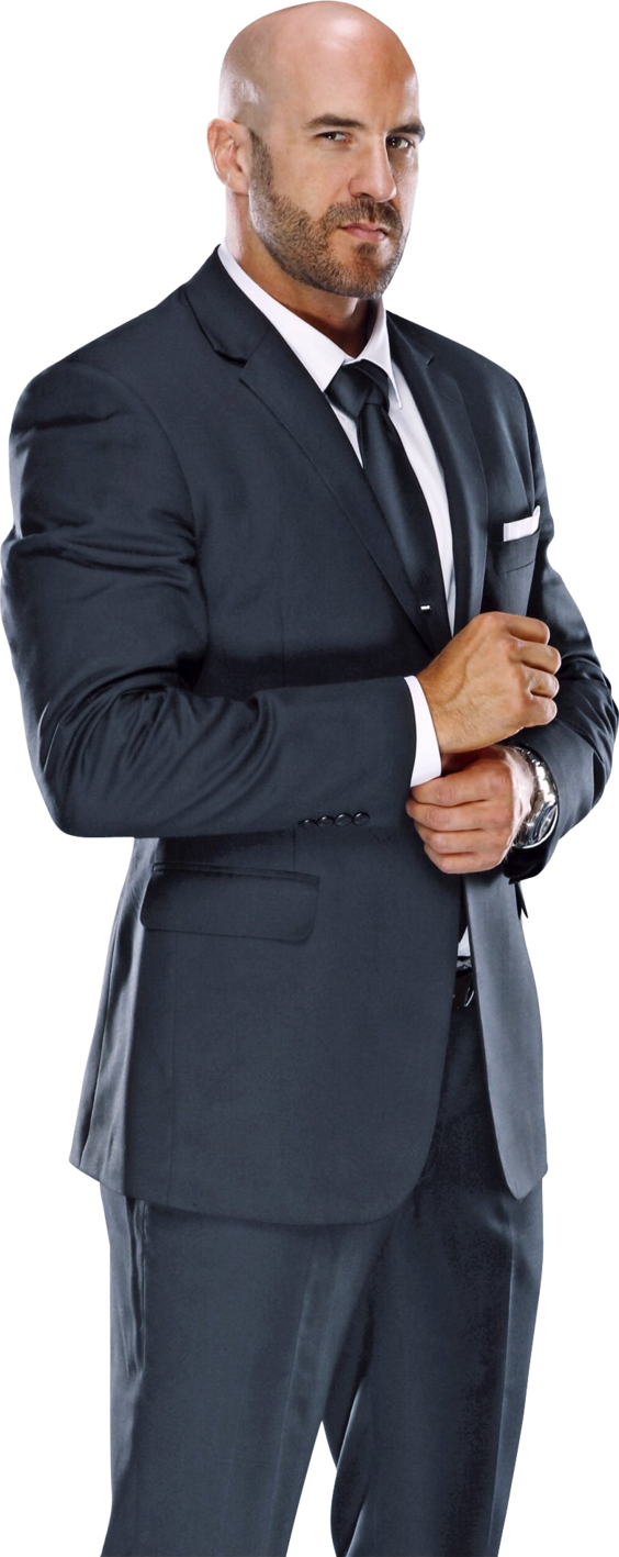 Antonio Cesaro, Professional Wrestling, Wwe Wrestlers, - Wwe Cesaro Png 2016 (564x1417), Png Download