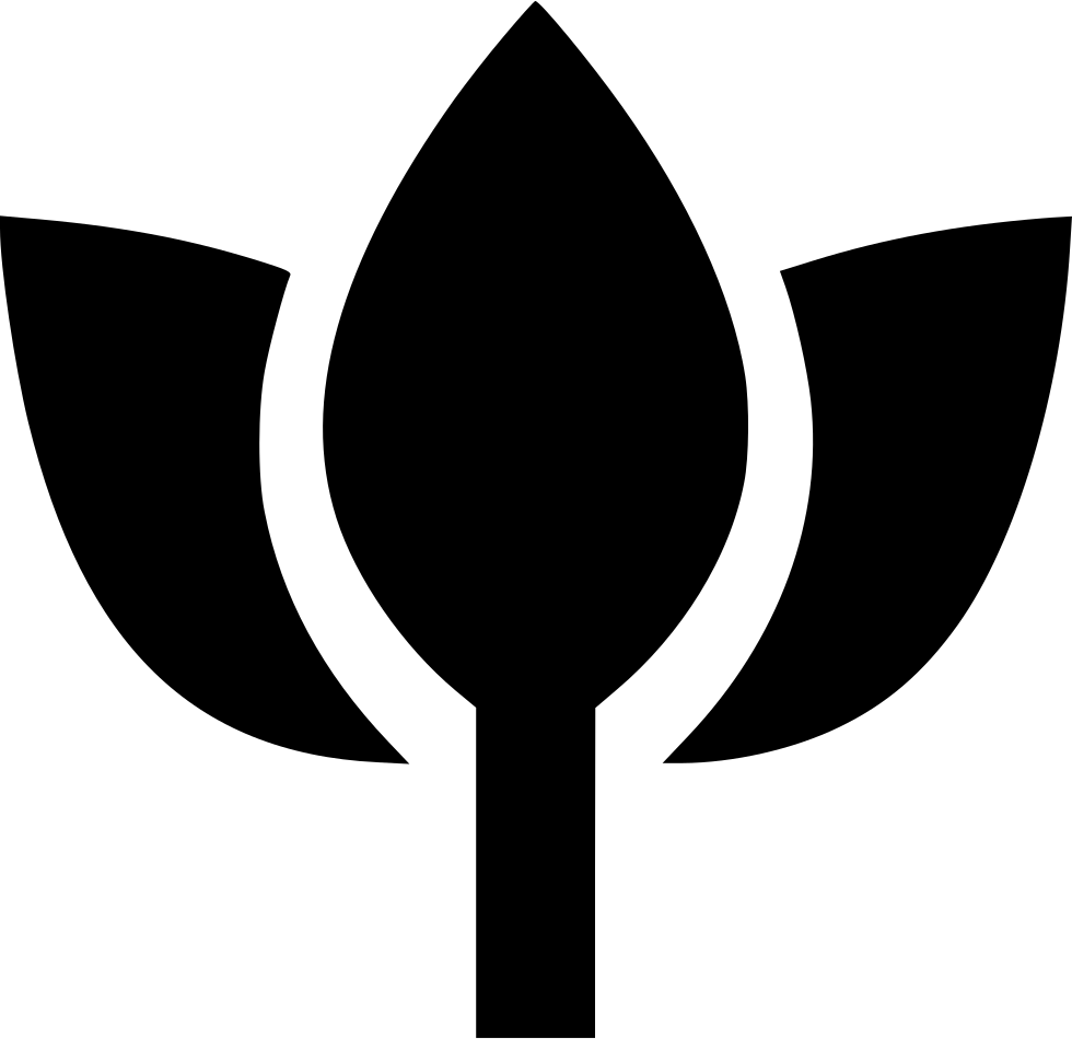 Lotus Flower - - Icon (980x950), Png Download