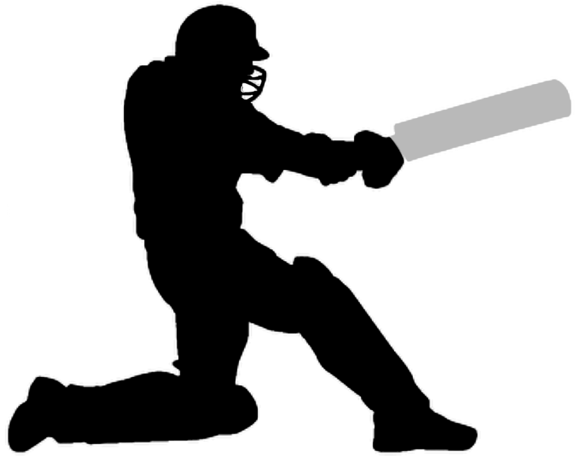 Cricket Png Photos - Transparent Background Cricket Clipart (900x726), Png Download