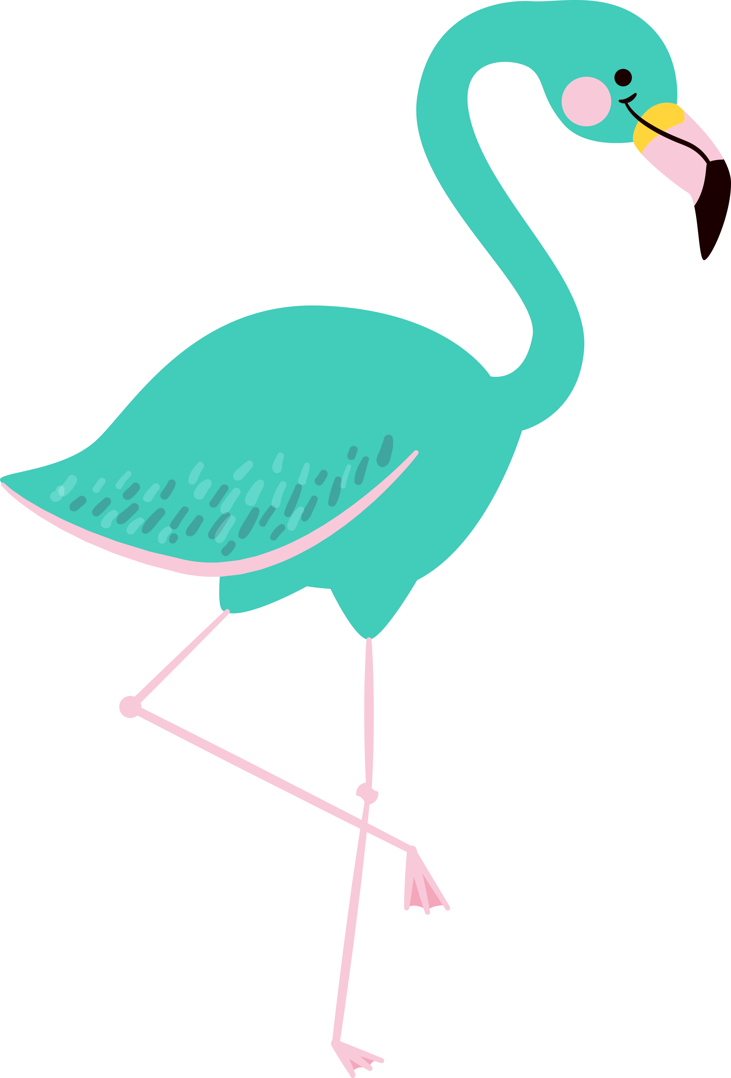 19 Flamingo Svg Library Stock Free Huge Freebie Download - Summer Clip Art Flamingo (2382x3511), Png Download