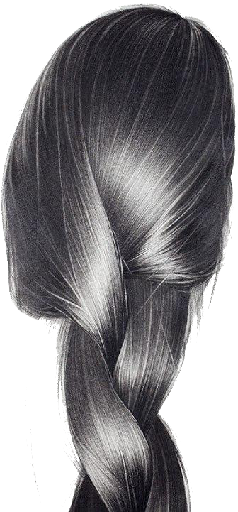 Clip Art Transparent Stock Hair Art Pencil Illustration - Pencil Hair Drawing (500x749), Png Download