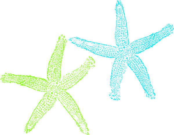 Turquoise Starfish Clip Art At Vector Clip Art Online - Fish Clip Art (600x468), Png Download