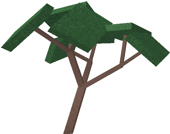 Oak (562x445), Png Download