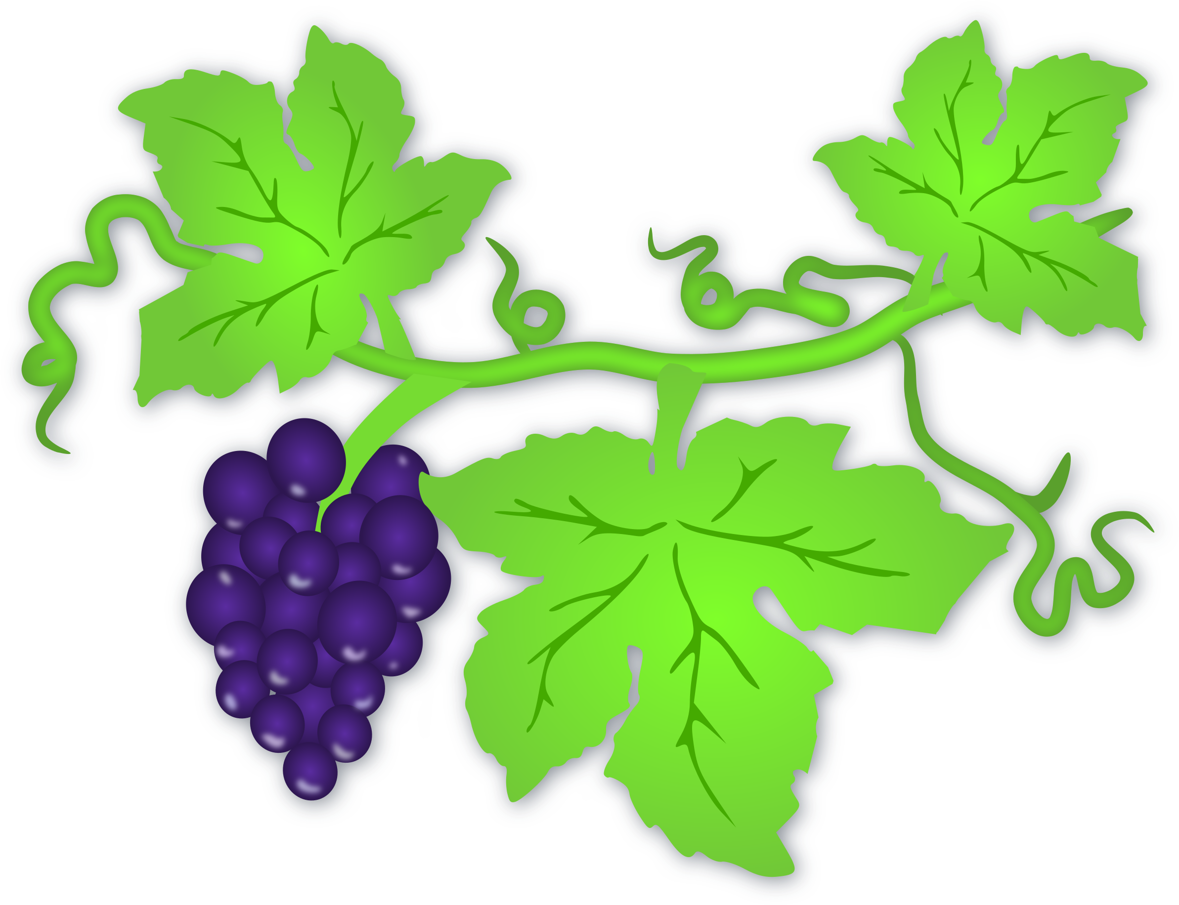 Wine Fruits, Grapes, Green, Leaves, Purple, Vine, Wine - Leaves Of Grapes Clipart (640x490), Png Download