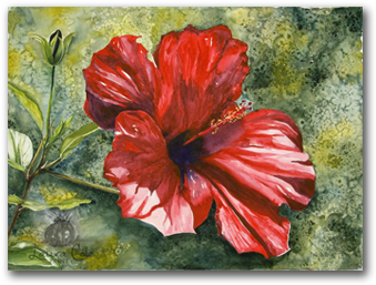 "hibiscus" Original Watercolor - Hawaiian Hibiscus (350x400), Png Download
