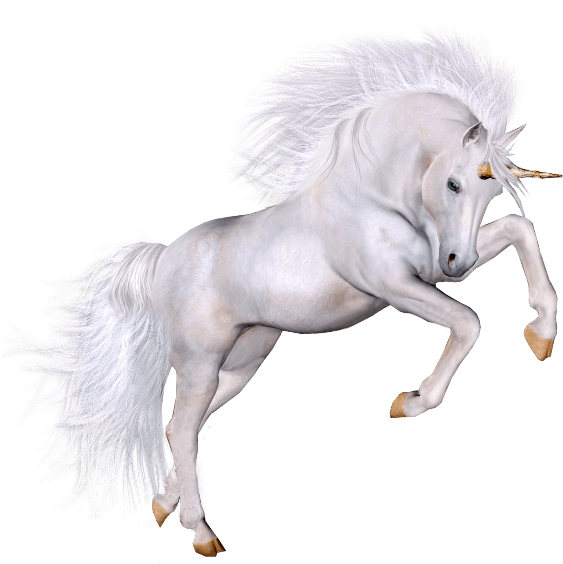 Unicorn Grace Transparent Png - Unicorn Transparent Png (1280x1254), Png Download