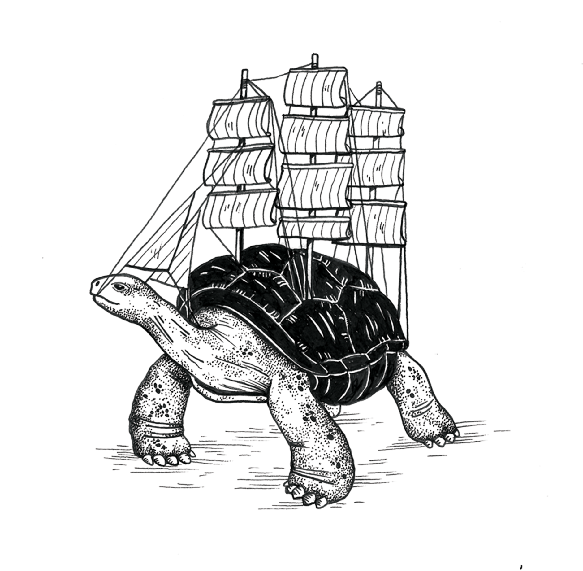 Turtle Ship - Turtle Ship's (2048x2048), Png Download