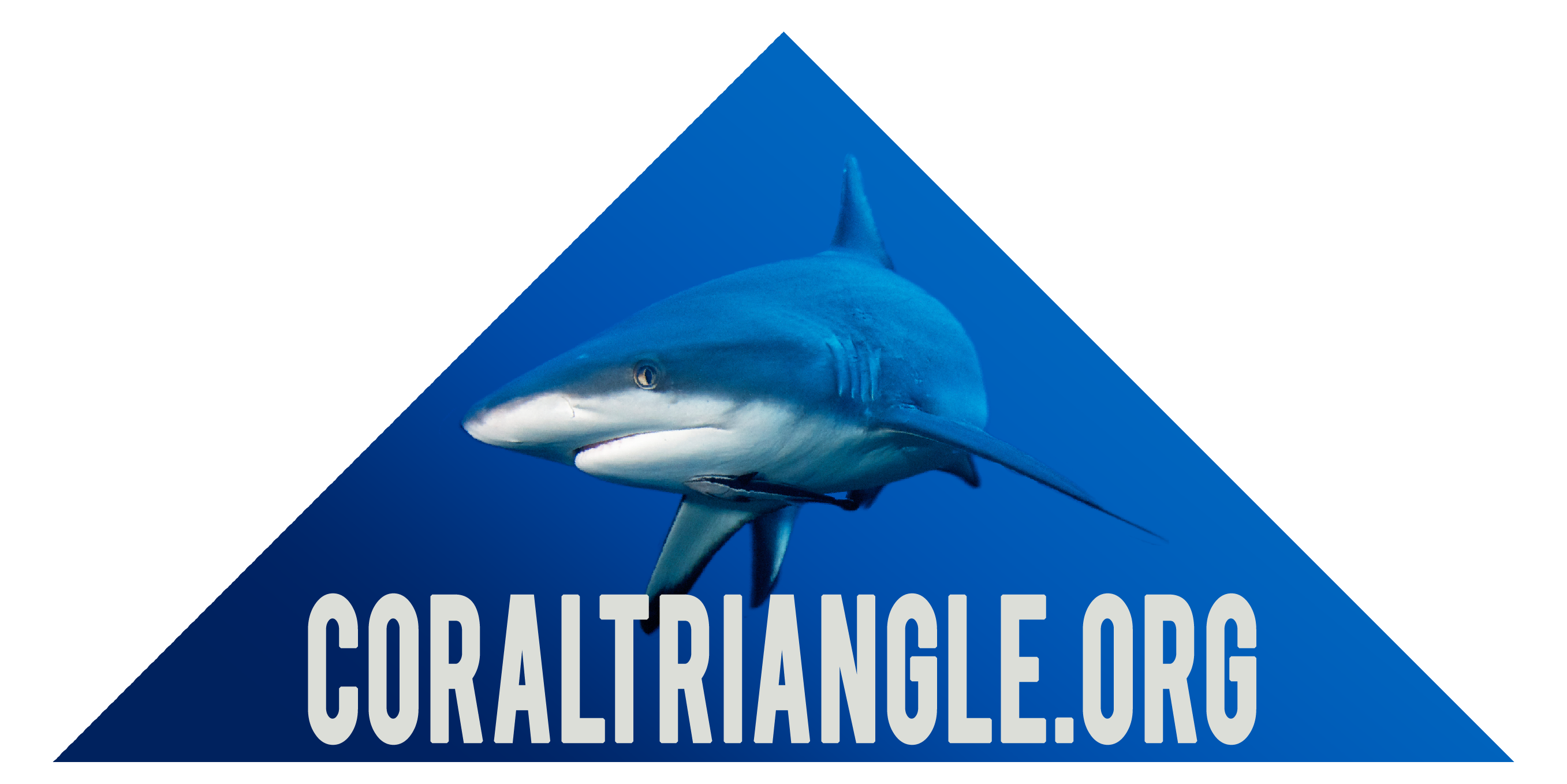 Photo Of Sharks In The Coral Triangle - Coral Triangle (2716x2716), Png Download