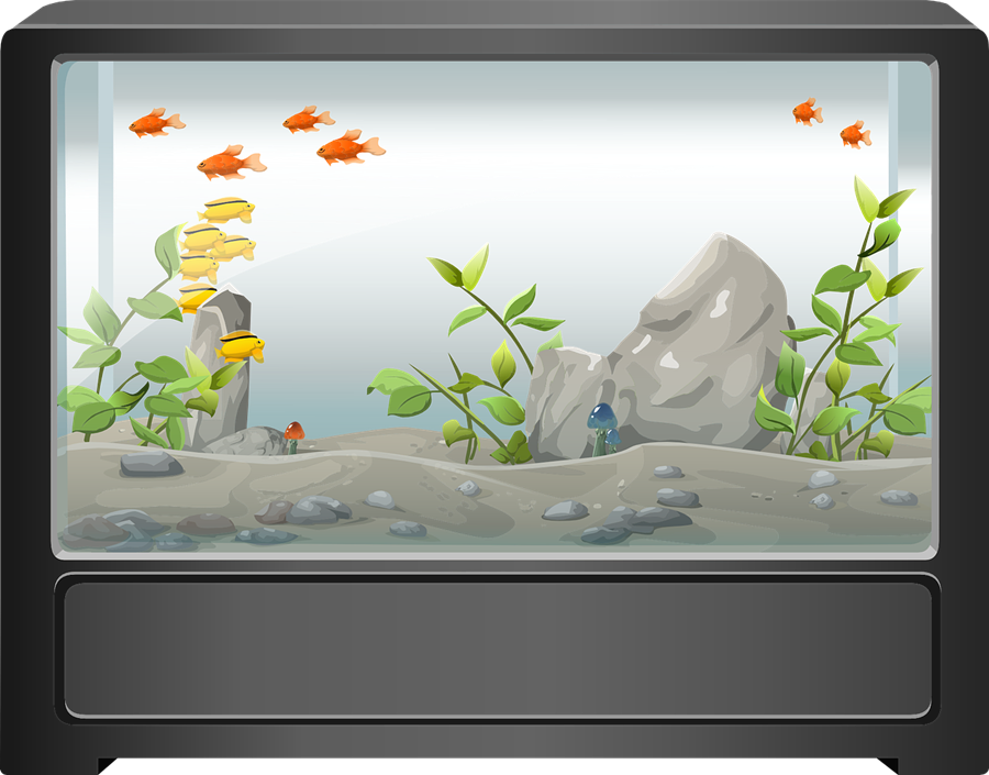 Download Fish Tank Graphic Clipart Goldfish Aquarium - Fish Tank Aquarium Clipart (900x705), Png Download