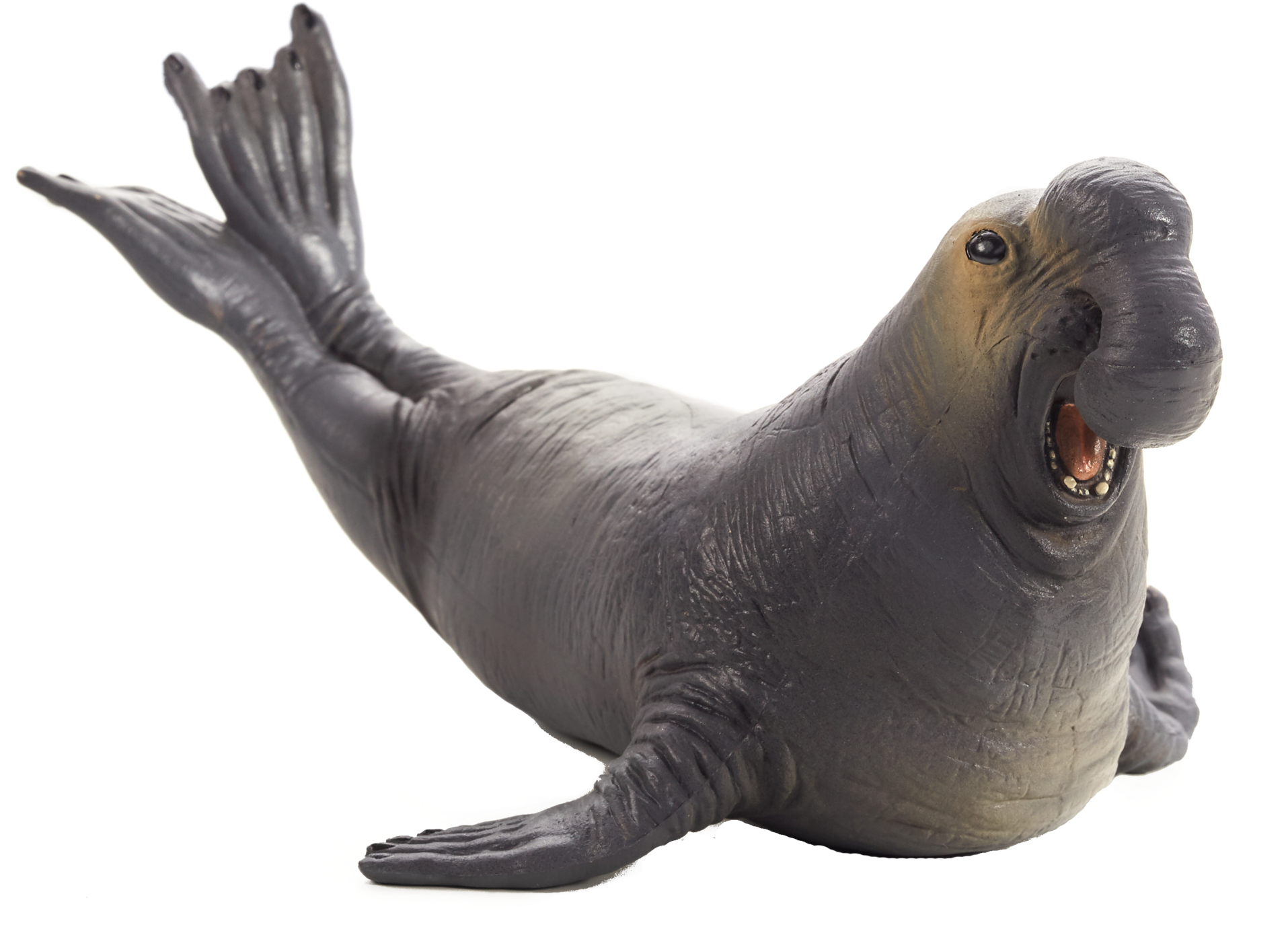 Clipart Resolution 1920*1400 - Mojo Sea Elephant (1920x1400), Png Download