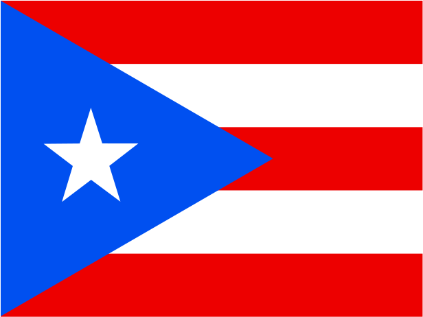 Flag Of Puerto Rico Logo Png Transparent - Flag (2400x1800), Png Download