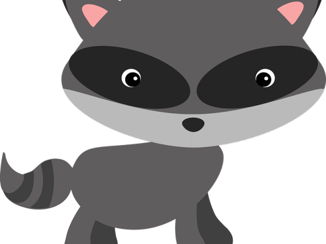 Raccoon Png Transparent Images - Woodland Shy Raccoon (640x480), Png Download