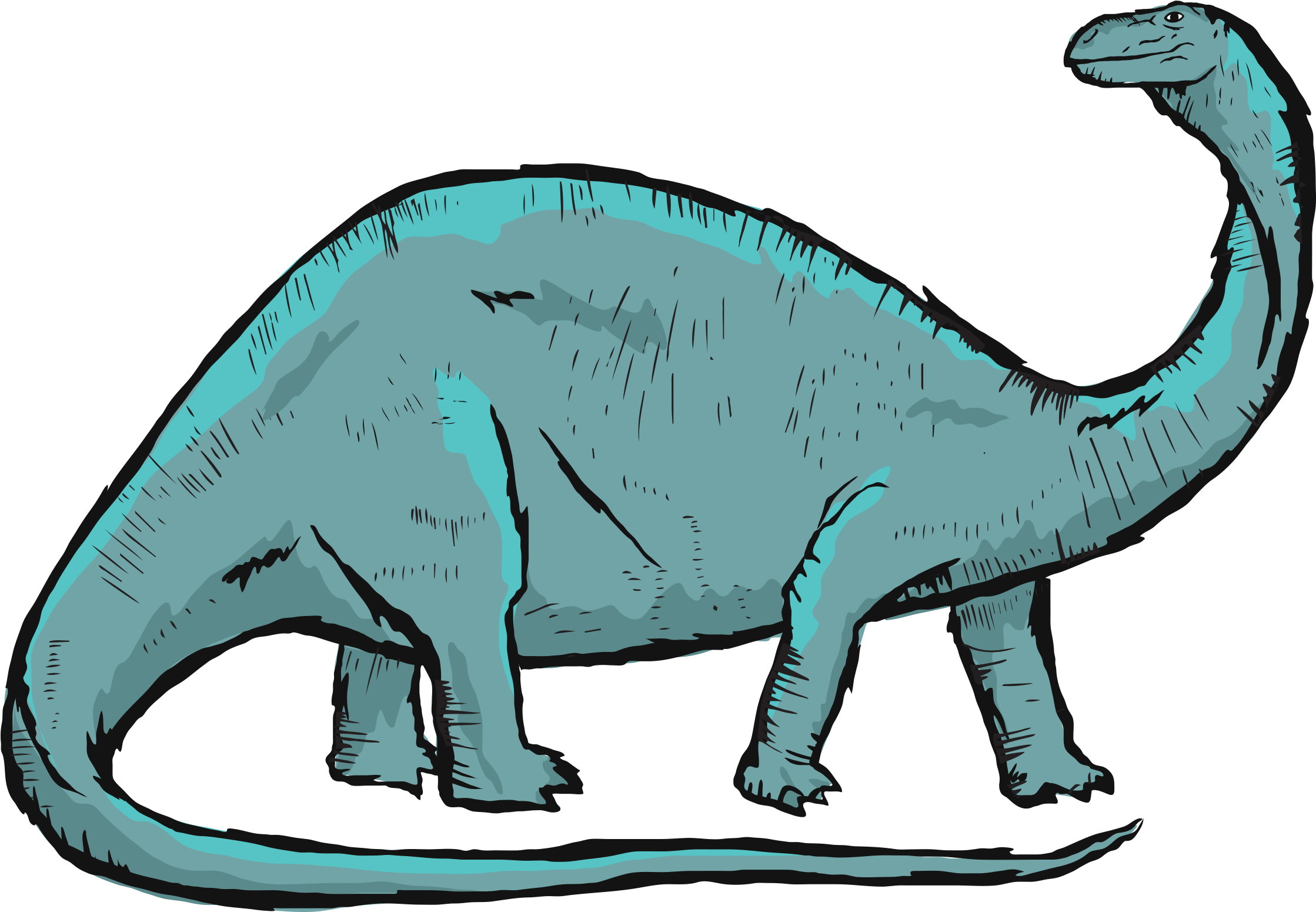 Apatosaurus (690x690), Png Download