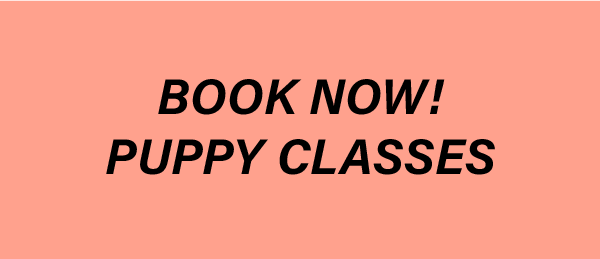 Image 1553458 Ppy Button - Witnesses And Ministers Of The Word: Preaching (600x259), Png Download