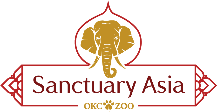 At The Okc Zoo, Go Wild - Asia (900x466), Png Download