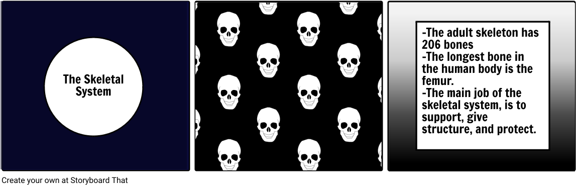 Skeletal System - North Carolina (1164x385), Png Download