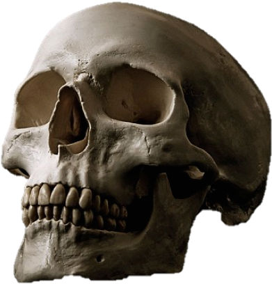 Human Skulls Skull (692x459), Png Download