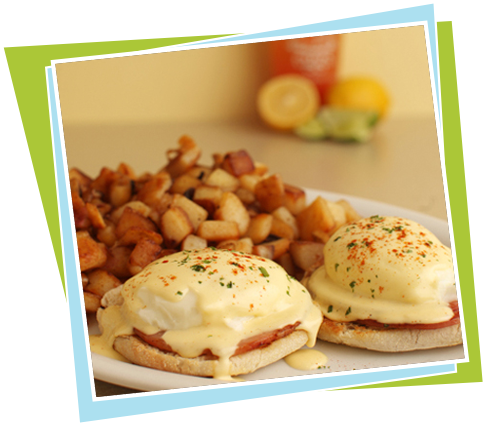 Wild Eggs Bennie - Wild Eggs Eggs Benedict (504x504), Png Download