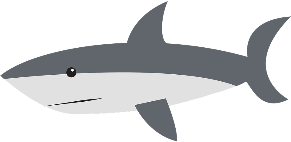 Shark Black And White Free Vector Graphic Shark Side - Shark Clipart (960x480), Png Download