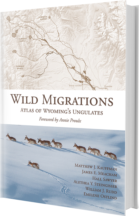 Atlas Of Wyoming's Ungulates Book Cover - Wild Migrations: Atlas Of Wyoming's Ungulates (614x904), Png Download