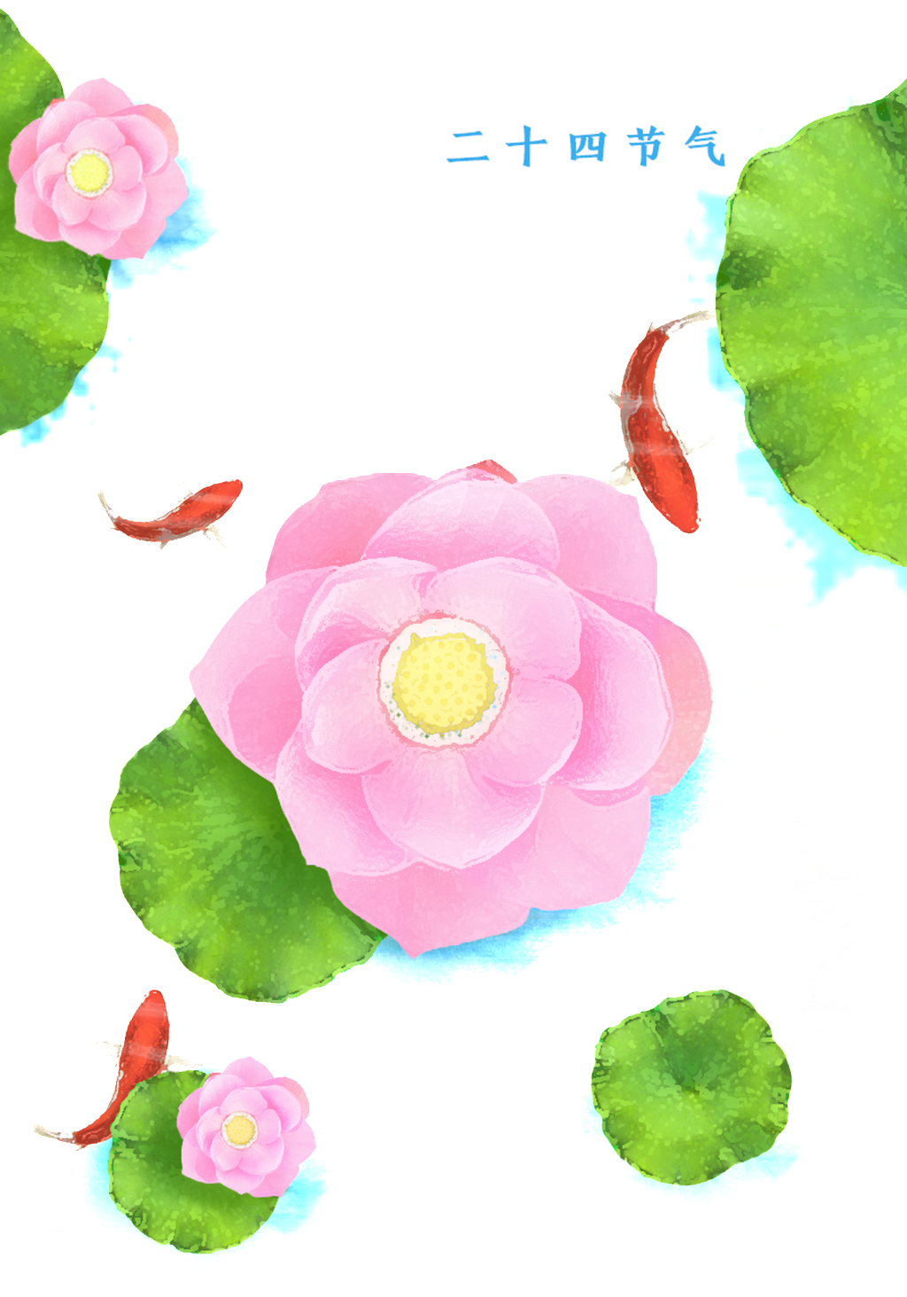 Colorful Lotus Flower Festival Transparent Decorative - Sacred Lotus (1024x1464), Png Download