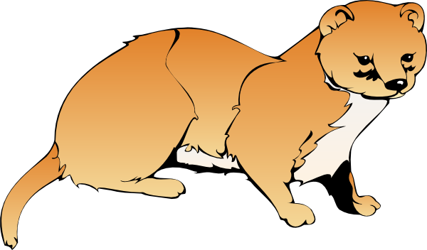 Weasel-hi - Animated Weasel (600x352), Png Download