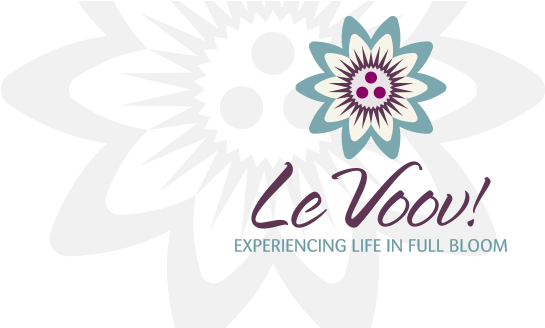 Le Voov - African Daisy (698x348), Png Download