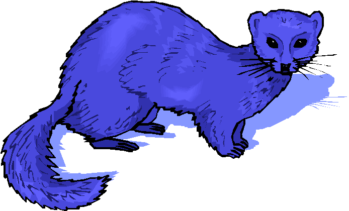 Weasel Linux Webservice Universita' Degli Studi Di - Weasels (694x420), Png Download