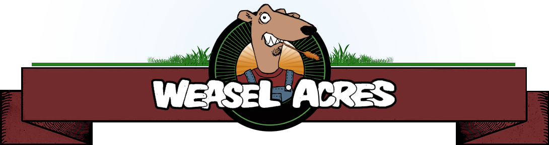 Weasel Acres With A Vengeance - Screeching Weasel First World Manifesto Vinyl Record (1090x289), Png Download