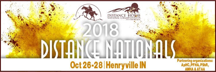 Ride News - Endurance Horse (750x251), Png Download