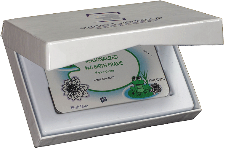 Lily Pad Friends Gift Card Presentation Package - Special Delivery (800x800), Png Download