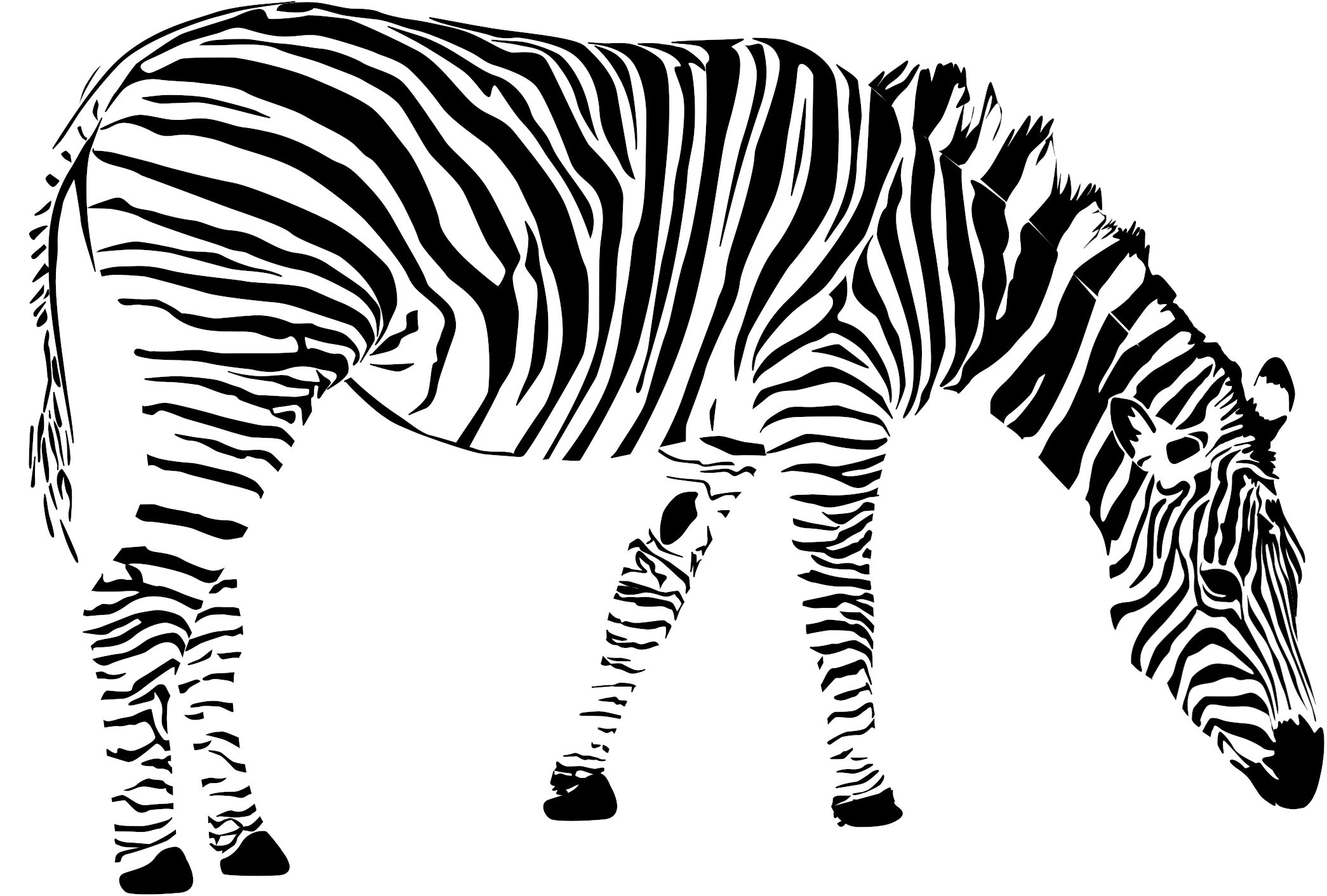 Big Image - Zebra Pdf (2400x1697), Png Download