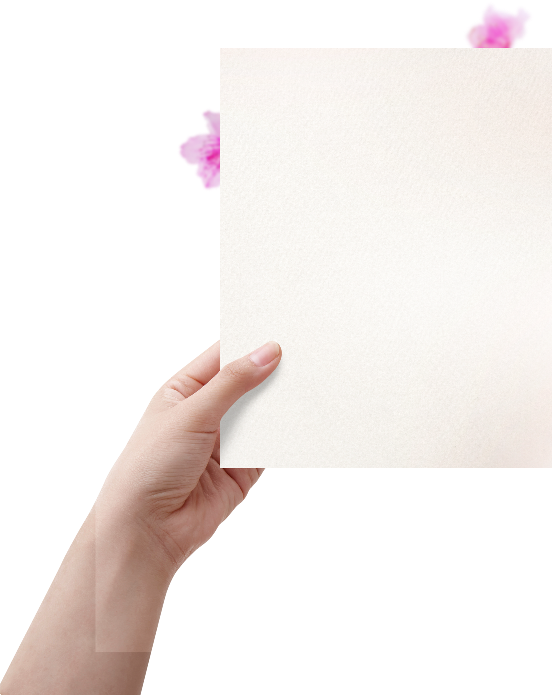 Hand Holding Stationery - Stationery (2869x2658), Png Download