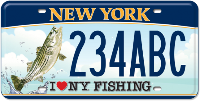 Striped Bass - Government License Plate Ny (665x450), Png Download