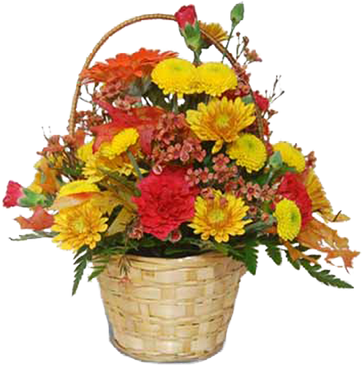 Basket Of Fall - Jpeg (600x600), Png Download