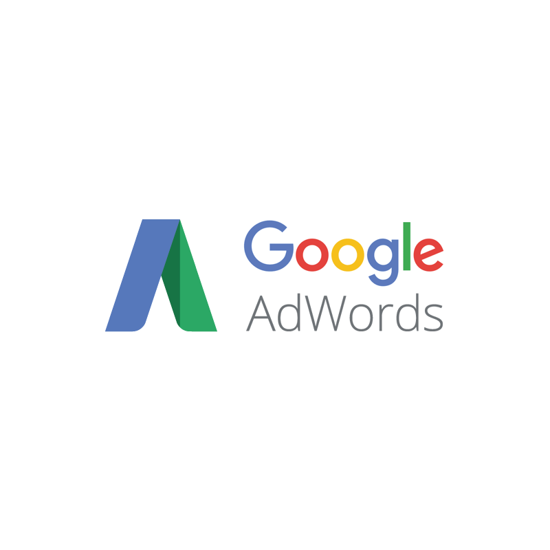 Google Adwords Logo Circle - Google Ads Parallel Tracking (800x800), Png Download
