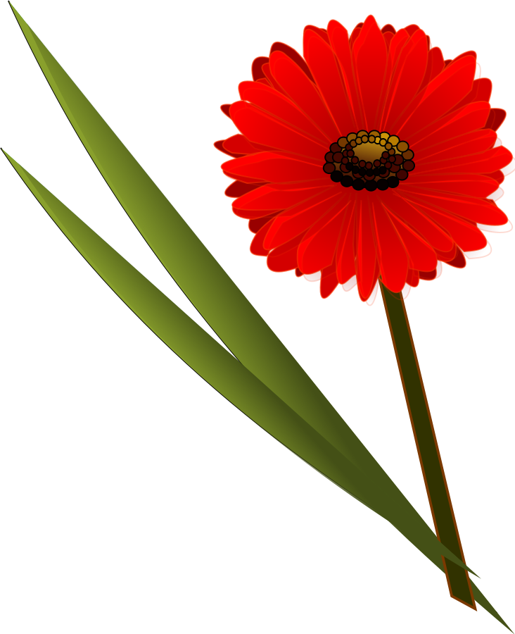 Flower Cliparts, Flower Design Svg - Flower Clip Art (732x900), Png Download