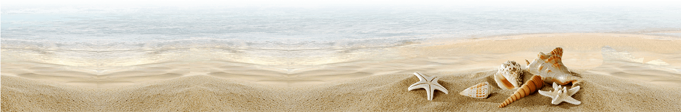 Parent Directory - Experiences In Public Speaking: An Activity Book (1366x284), Png Download