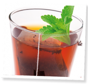 Sugar Free Sweet Tea Recipe - Stevia Rebaudiana (350x350), Png Download