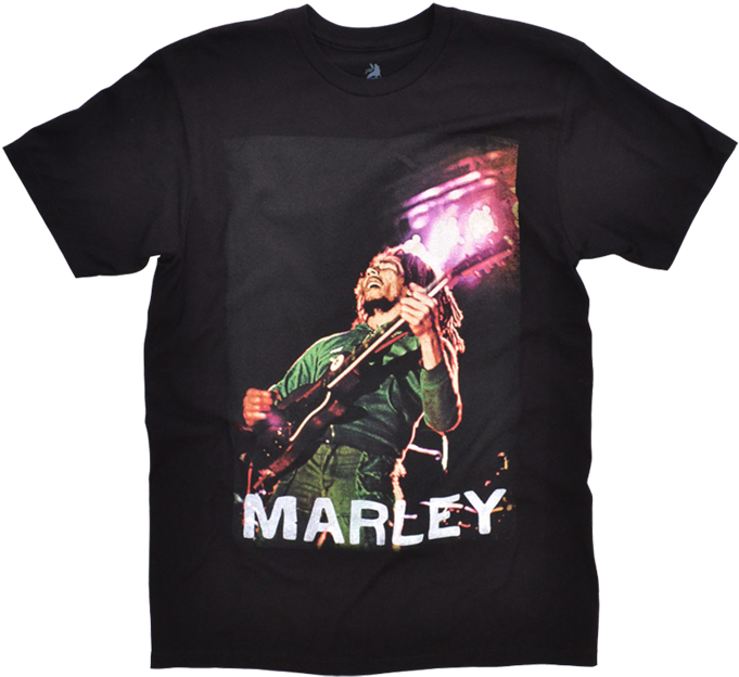 Reggae Routes By Kevin O'brien Chang (700x700), Png Download