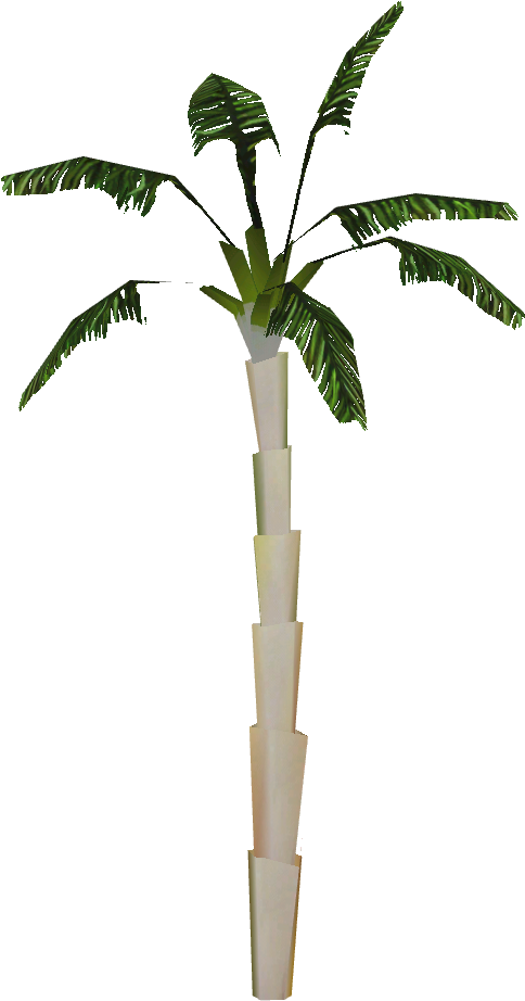 Copernicia Palm - Attalea Speciosa (921x921), Png Download