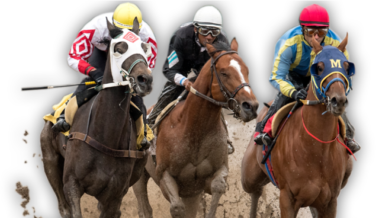 Horse Racing Alberta Appeal Tribunal Member Andrea - Jockey (780x439), Png Download