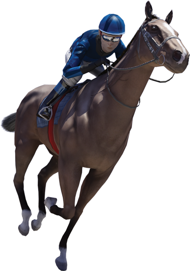 Product Showcase - Virtual Horse Racing Png (500x629), Png Download
